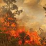 Asap dari Kebakaran Hutan Merusak Lapisan Ozon
