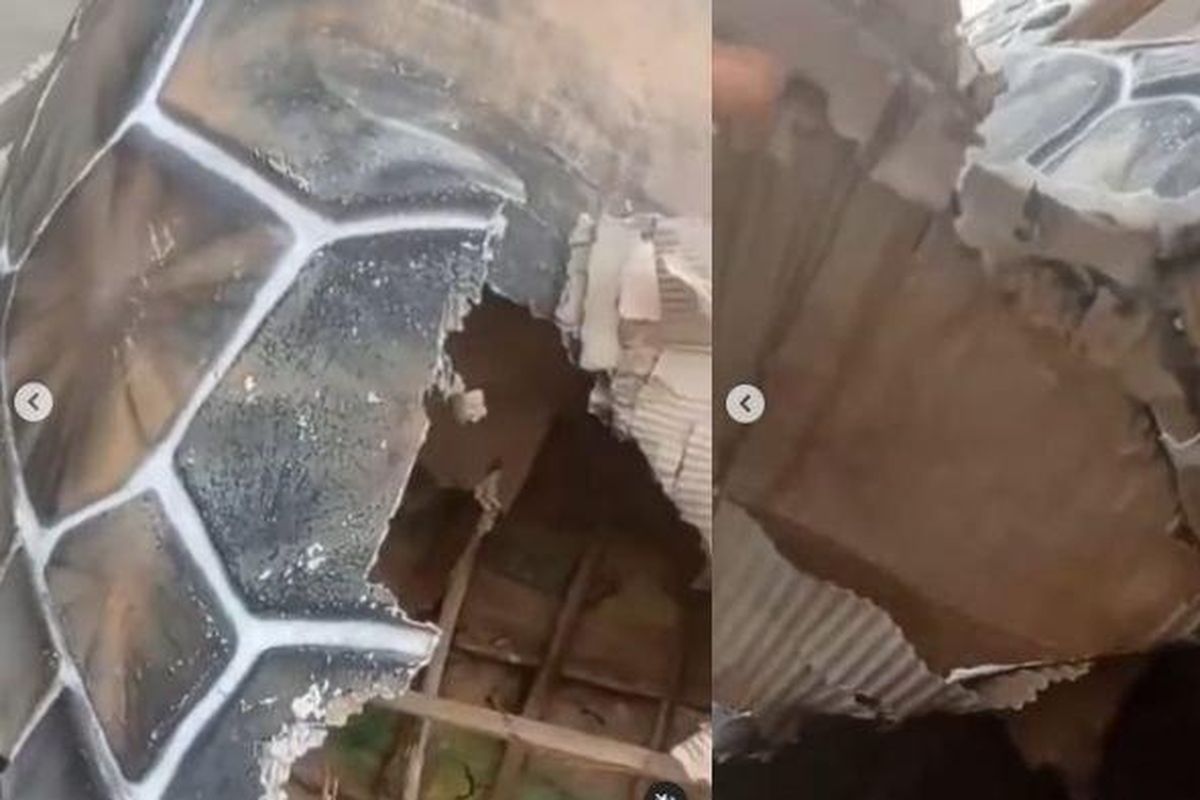 viral patung penyu di Sukabumi rusak