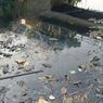 Air Hitam dan Ikan Sapu-sapu Mati di Kali Perbatasan Bogor-Bekasi, Warga: Bukan Pertama Kali