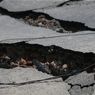 Gempa Susulan M 5,5 Kembali Guncang NTT