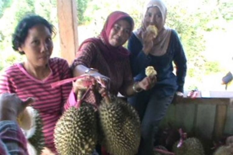 Ini sensasi baru menikmati durian di kecamatan Bulo Polewali mandar sylawesi barat. Wisatawan bisa memetik dan makan durian langsung dari pohonnya atau menikmatinya di gasebo yang disediakan penbgelola.