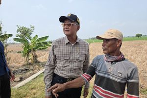 Marah Besar Sawah di Bekasi Kering, Menteri PU Semprot Dirjen SDA