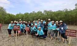 Kesiapan Guru Jadi Kunci Integrasi Edukasi Mangrove dalam Kurikulum Merdeka di Sumut