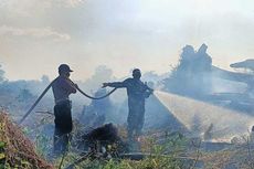 Cerita Petugas Menginap 2 Malam di Hutan demi Padamkan Api Karhutla di Rokan Hulu