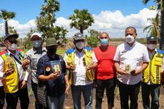 Sumur Bor Bakal Tersedia di Tiga Lahan Pertanian Sorgum NTT 1.135 Hektar