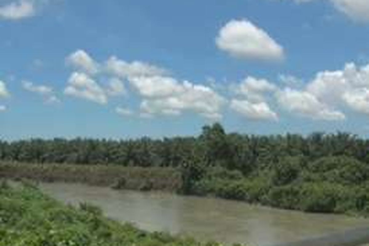 Limbah milik perusahaan pengolahan sawit PT Letawa diduga dibuang dan mengalir hingga mencemari sungai Tike dan sekitranya.