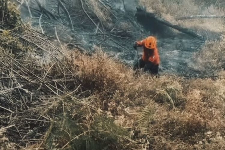 260 Hektare Lahan Gunung Arjuno-Welirang Hangus Terbakar, BNPB Lakukan Modifikasi Cuaca