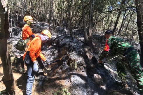 Berhasil Dipadamkan, Kebakaran Gunung Panderman Mencapai 70 Hektare