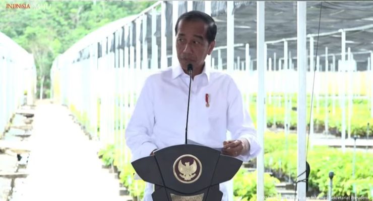Bambang Susantono dan Dhony Rahajoe Mundur, Presiden Sebut Karena Alasan Pribadi
