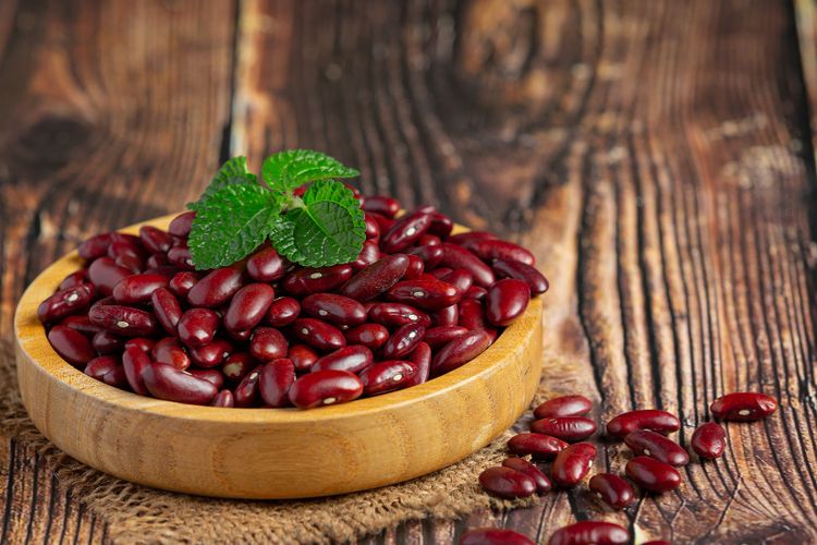 Ilustrasi kacang merah, jenis kacang yang mirip dengan kacang azuki dan kacang tolo. 