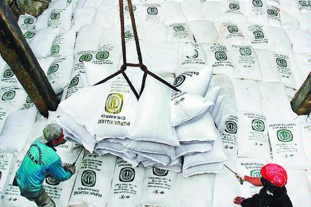 Pekerja memindahkan pupuk urea ke badan kapal motor angkut yang bersandar di Pelabuhan Sunda Kelapa, Jakarta, Minggu (3/1), untuk dikirim ke Kalimantan Tengah. Pemerintah memberikan izin kepada BUMN untuk melakukan ekspor pupuk karena stok pupuk yang terdapat di sejumlah gudang BUMN menumpuk, sementara kebutuhan dalam negeri sudah terpenuhi.