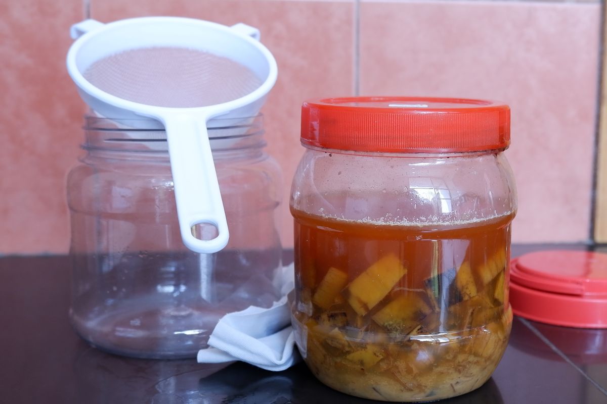 Ilustrasi eco-enzyme.