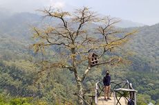 Aktivitas Seru di Sendi Adventure Park, Bisa Camping