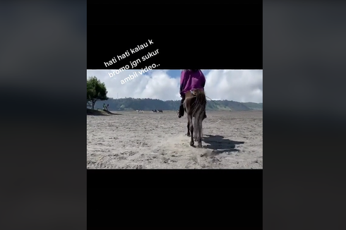 Video Viral Pengguna Jasa Kuda di Bromo Dimintai Uang Rp 50.000 karena Rekam Video, Ini Kata TNBTS