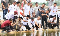 Lima Gampong di Aceh Timur Terima 4,2 Juta Benur untuk Pulihkan Tambak Pascabencana