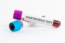 Hantavirus