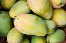 Mendagri Sarankan Pendataan Rumah Rusak Bencana Sumatera Terpusat di BNPB