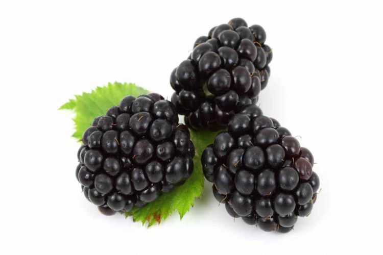 Buah Raspberry hitam