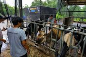 Dari Kandang ke Produk Olahan, Peternak Sapi Perah Malang Naik Kelas bersama BRI Peduli