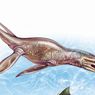 Mirip Paus Pembunuh, Dinosaurus Ini Ternyata Predator Laut Zaman Jurassic