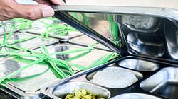 Suguhan MBG Perdana, 52 Siswa di 3 Sekolah di Kairatu Maluku Keracunan 