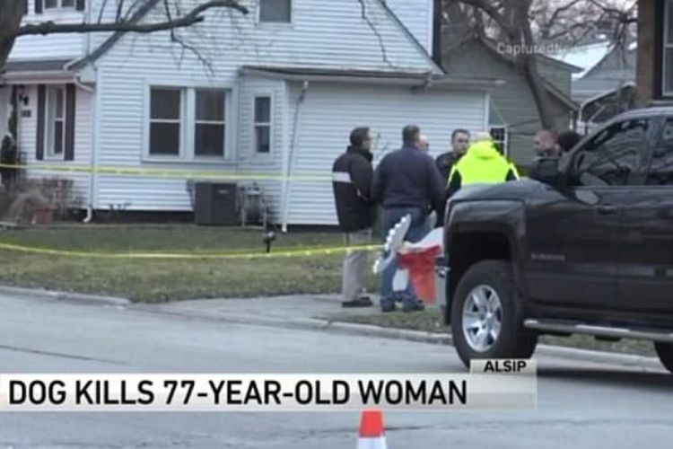 Dorothy Ford (77) ditemukan dalam kondisi takbernyawa di halaman belakang rumahnya, di South Kemensky Avenue, Illinois, AS, Senin (11/12/2017). (Daily Mail)