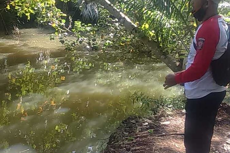 Anggota Tagana menyisir pinggir Sungai Cinerus, Desa Sukaresik, Kecamatan Sidamulih, Kabupaten Pangandaran, untuk mencari keberadaan buaya yang meresahkan warga.