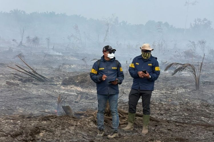 15.738 Hektare Lahan di Riau Terbakar pada Semester I 2026, Bengkalis Jadi Wilayah Terparah