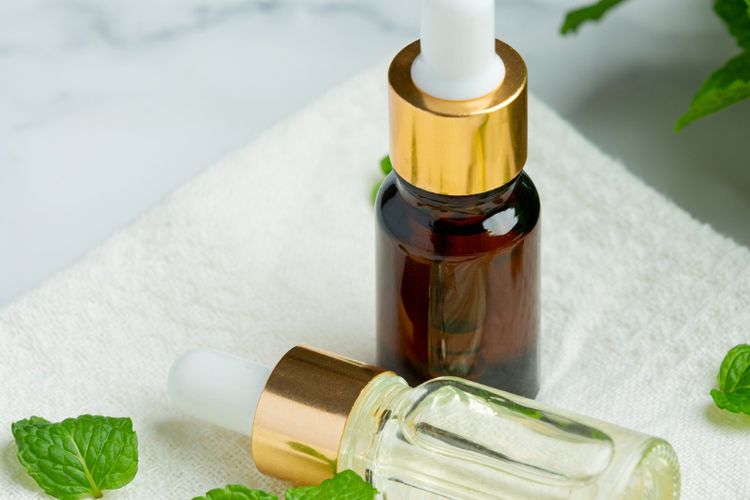 Ilustrasi essential oil peppermint. 