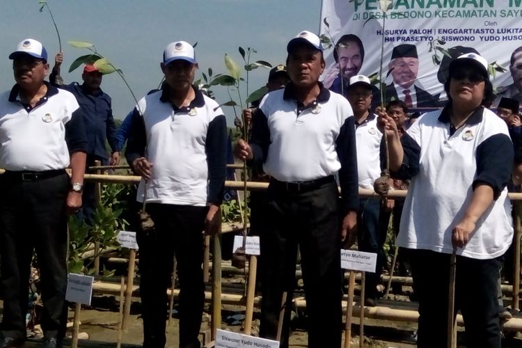 Menteri Lingkungan Hidup dan Kehutanan (LHK),  Siti Nurbaya,  mengangkat pohon mangrove sebelum ditanam di  kawasan Pantai Morosari,  Desa Bedono,  Kecamatan Sayung,  Kabupaten Demak,  Jateng,  Sabtu (22/4/2017)