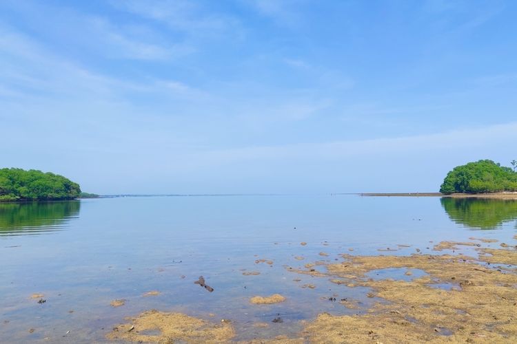 Ilustrasi Pantai Bilik Sijile di dalam kawasan Taman Nasional Baluran di Situbondo, Jawa Timur.