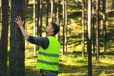 Acuan Pengelolaan Hutan Berkelanjutan sebagai Upaya Menjaga Lingkungan