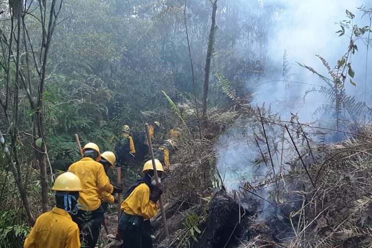 Para petugas pemadam Karhutla di Labanan Kabupaten Berau Kalimantan Timur. 