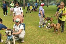 Ini yang Perlu Diketahui dari Kampanye Cinta Hewan Peliharaan oleh Komunitas 