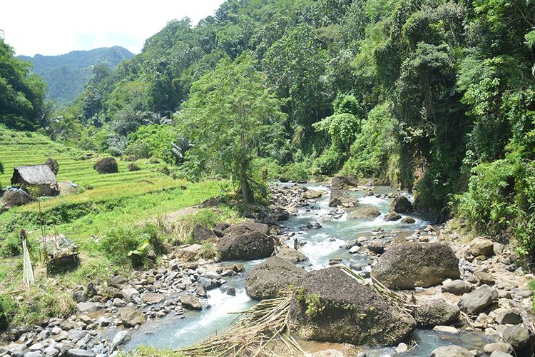 Daerah Aliran Sungai (DAS) Wae Impor yang terpanjang di Bagian Utara dari Manggarai Barat, Flores, NTT, Minggu (31/3/2019). sejumlah obyek wisata air terjun dan tradisi tangkap Ipung di DAS itu hanya diketahui oleh masyarakat setempat. Obyek-obyek wisata itu minim promosi. 