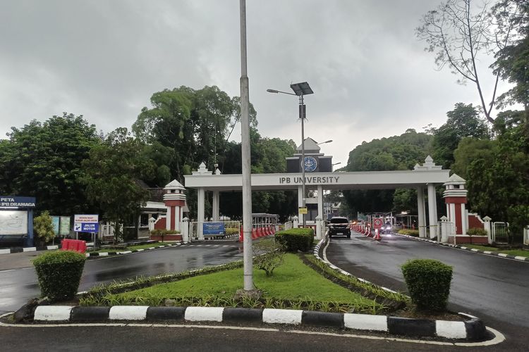 Dugaan Pelecehan di Grup Chat Mahasiswa IPB, Kampus Investigasi, Terduga Pelaku Minta Maaf