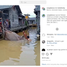Viral, Video Ikan Pari Raksasa Ditangkap di Kalsel, Pakar: Ikan Dilindungi, Wajib Dilepas!