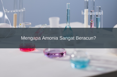 Mengapa Amonia Sangat Beracun?