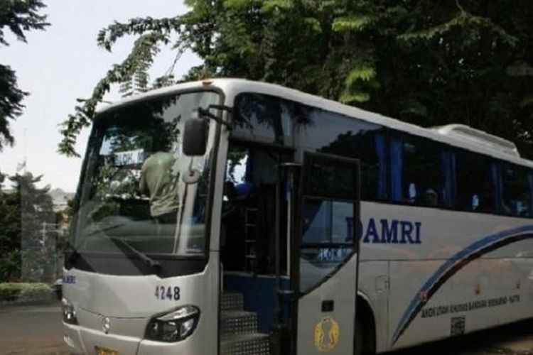 Ilustrasi bus Damri