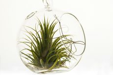 [HOAKS] Video Indonesia Tenggelamkan 31 Kapal China di Natuna