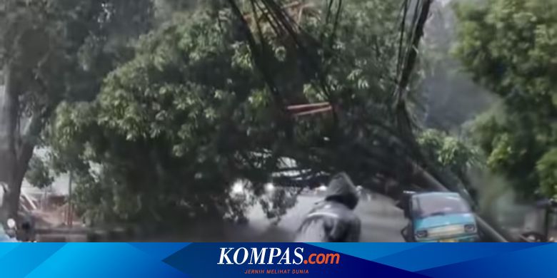 Tak Ada Korban Imbas Pohon Tumbang di Pondok Labu