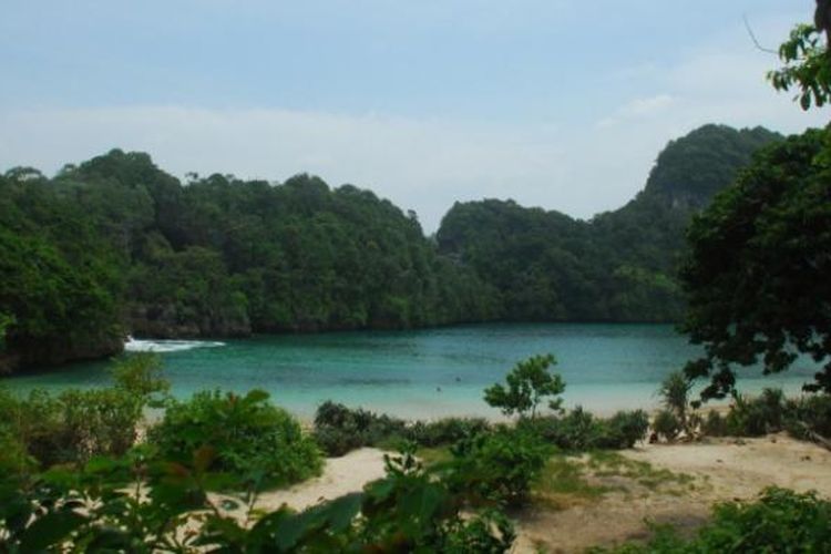 Segara Anakan di Kawasan Cagar Alam Pulau Sempu. Cagar Alam Pulau Sempu berada di bawah koordinasi Balai Besar Konservasi Sumber Daya Alam Jawa Timur.