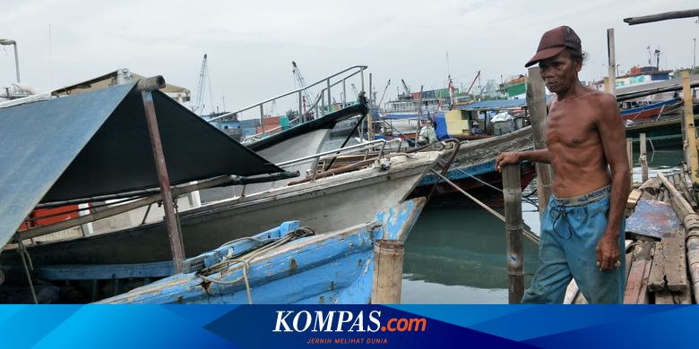Nasib Warga Gusuran Kampung Akuarium, Bertahun-tahun Tidur Beralas Puing dan Berteman Tikus - Vimarsana News