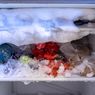 Penyebab Banyak Bunga Es di Freezer dan Cara Mencairkannya