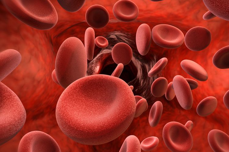 Hemoglobin adalah molekul protein yang mengandung zat besi dalam sel darah merah. Ketika Anda memiliki Hb tinggi, tubuh memiliki jumlah protein dalam sel darah merah di atas normal.
