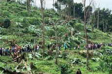 Konflik Agraria Warisan Orde Baru di Balik Penangkapan Petani Desa Pakel di Banyuwangi