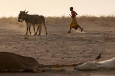 Kekeringan Parah di Tanduk Afrika Tak Akan Terjadi Tanpa Perubahan Iklim