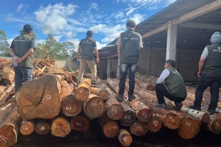 219 Kayu Log Ilegal Tanpa Dokumen Diamankan di Sumut, Ini Temuan Kemenhut