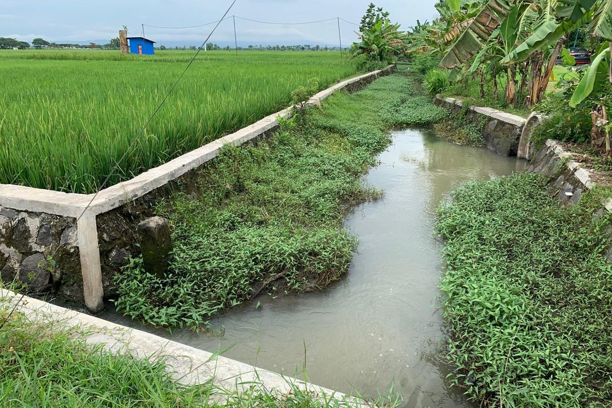 Proyek talud di Desa Warurejo, Kecamatan Balerejo, Kabupaten Madiun, Jawa Timur yang anggaranya bersumber dari dana aspirasi DPRD Jatim. 