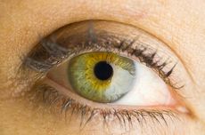 Orang dengan Heterokromia Punya Warna Mata Paling Langka, Ini Penjelasannya